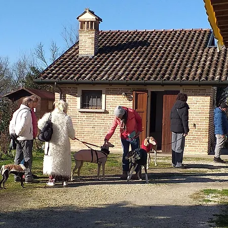 Ca' Bianca Oda ve Kahvaltı Lugo (Ravenna)