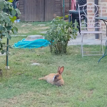 Ca' Bianca Oda ve Kahvaltı 3*