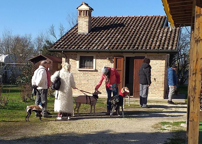 Ca' Bianca Oda ve Kahvaltı Lugo (Ravenna)